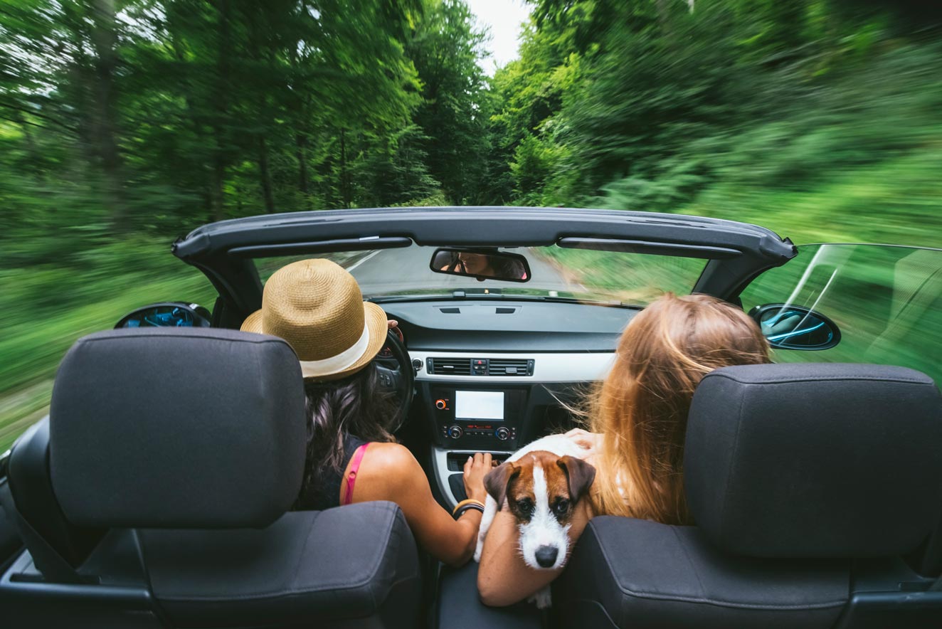 two women in convertible driving through forest with dog